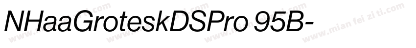NHaaGroteskDSPro 95B字体转换